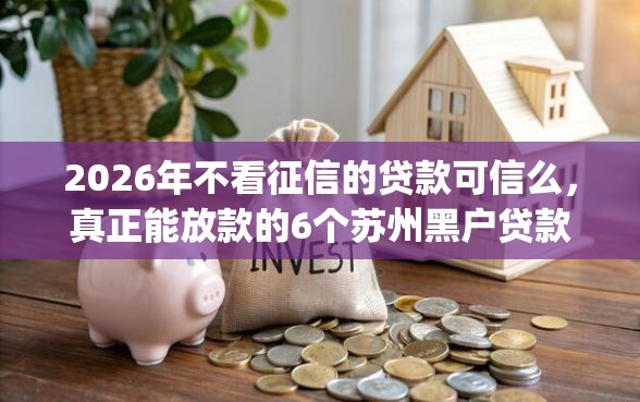2026年不看征信的贷款可信么,真正能放款的6个苏州黑户贷款5万的app推荐_借的到